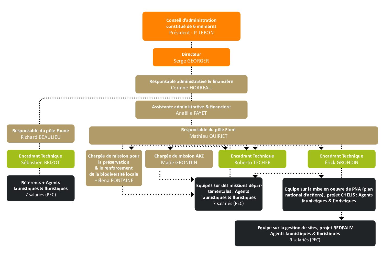 Organigramme v2